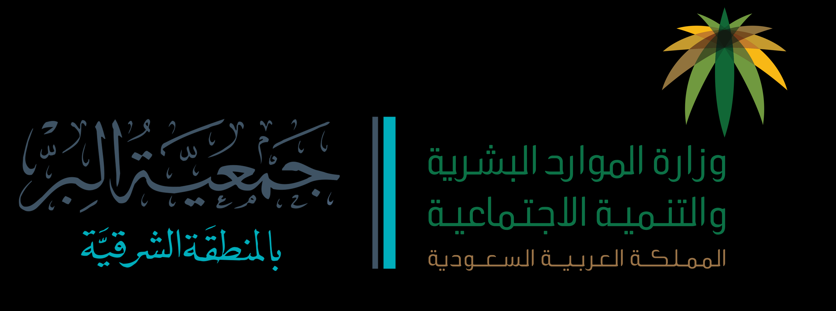 جمعية البر بالمنطقة الشرقية